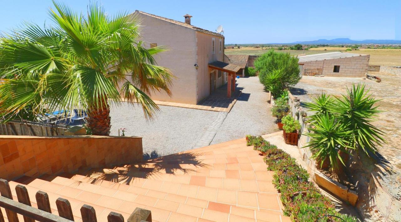 Villa Alcoraia Campos  Esterno foto