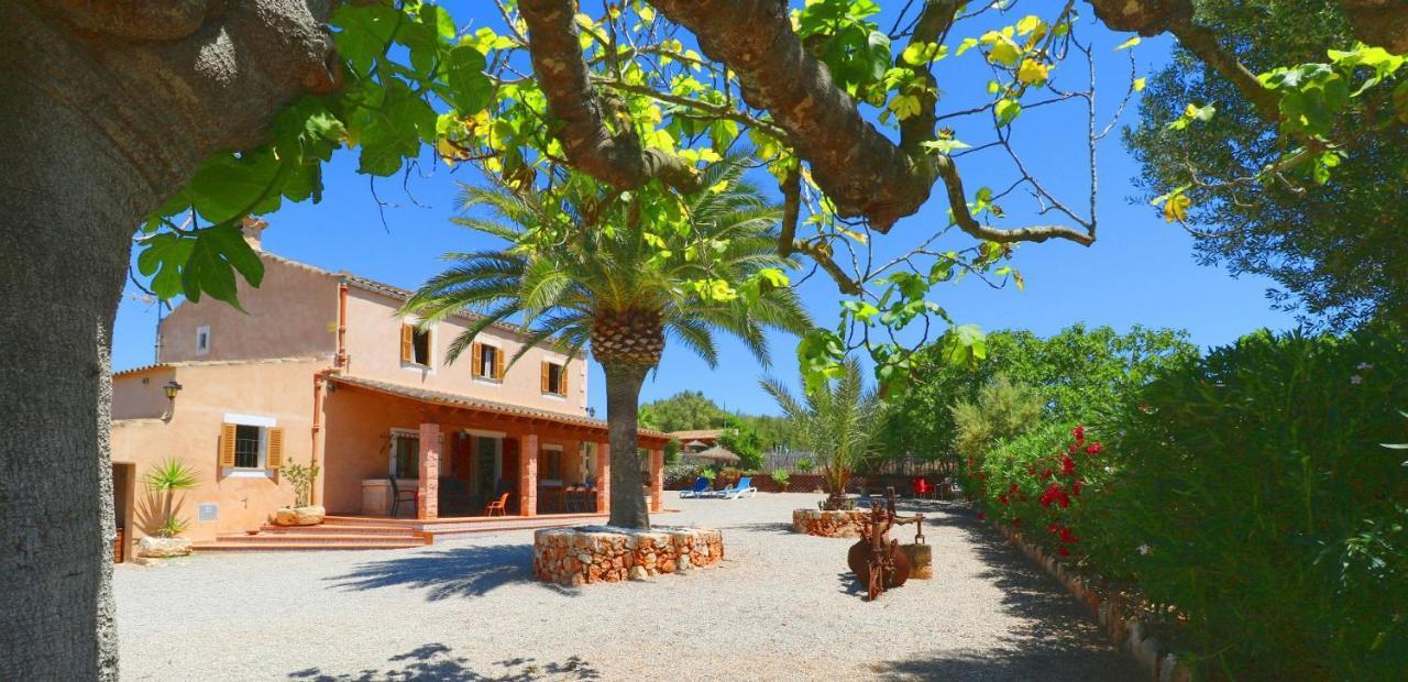 Villa Alcoraia Campos  Esterno foto